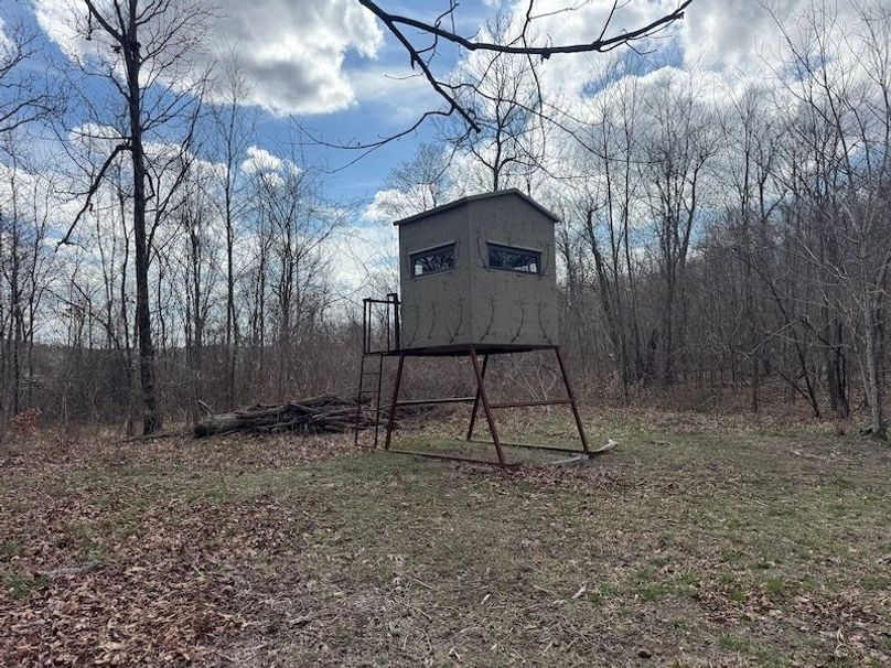 stone8020260306_0089