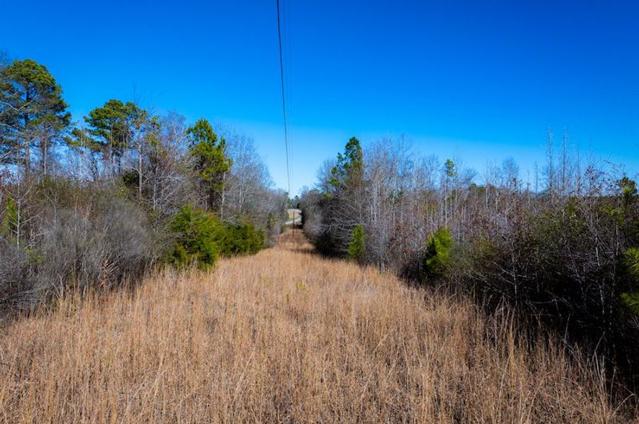 Winston County 160-04