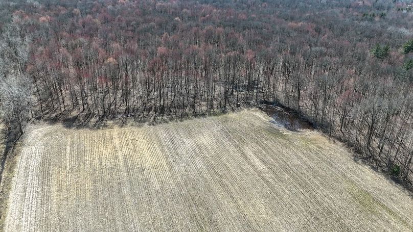 DJI_20250417142851_0105_D