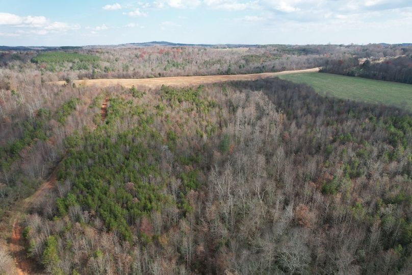 dji_fly_20251120_024346_943_1763686305388_photo