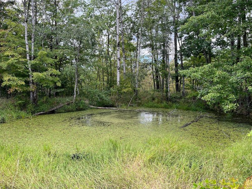 Schuyler_42.08_Austin Photo 30