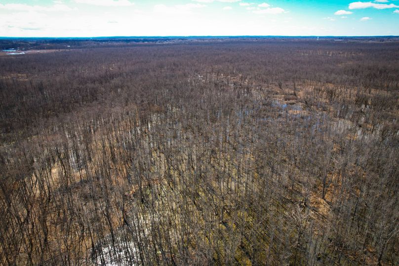 Oswego_165.52_Lashomb_Photos_39