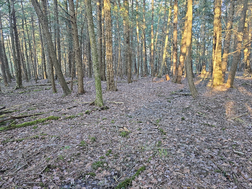 photo_8e76a85a-0003-4f0e-89cb-b096d085829a