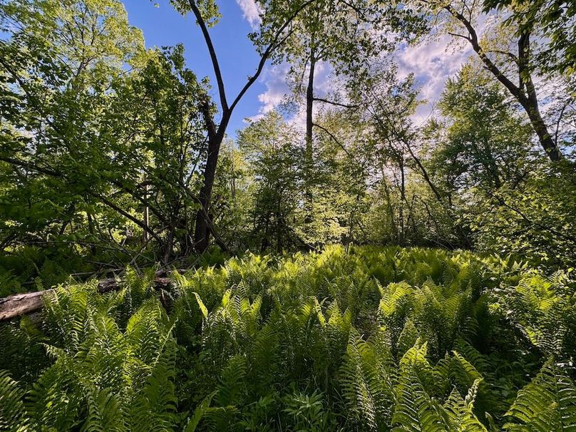 La Crosse 56.17 - 22