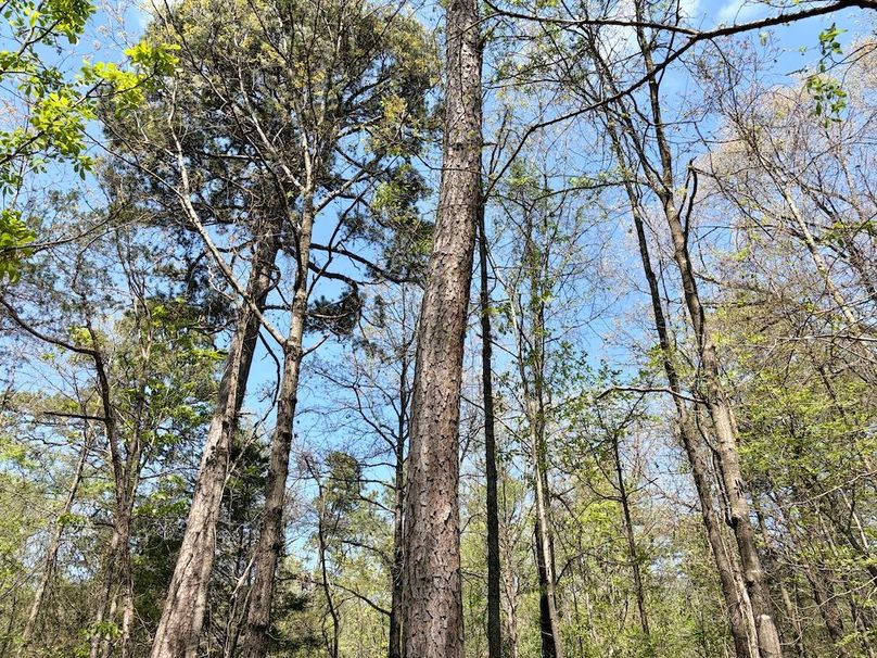 11965AF0-6CE7-48A6-B43C-521D107D9D12_1_201_a