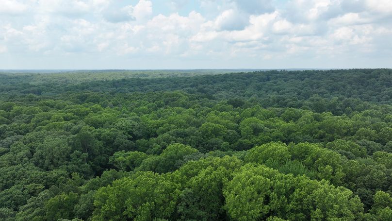 dji_fly_20240711_133526_0227_1720719604268_photo