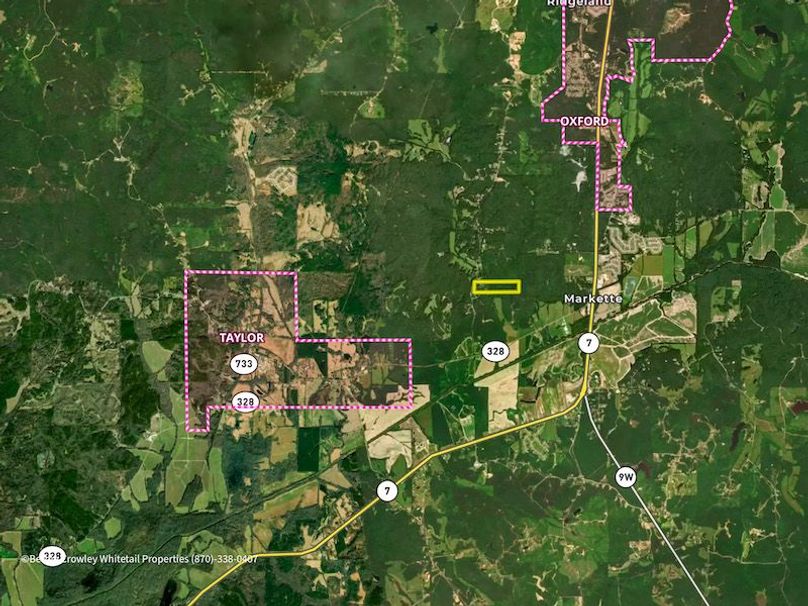 Lafayette 37.0 Bruce-02