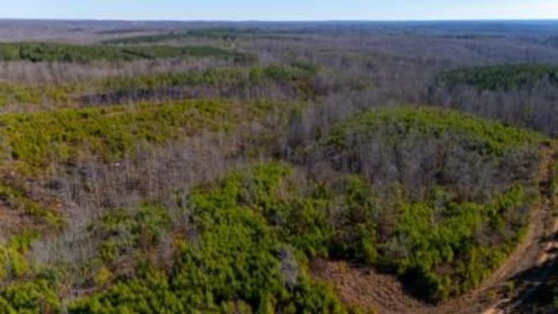 MCKINNON TRACT 19-17