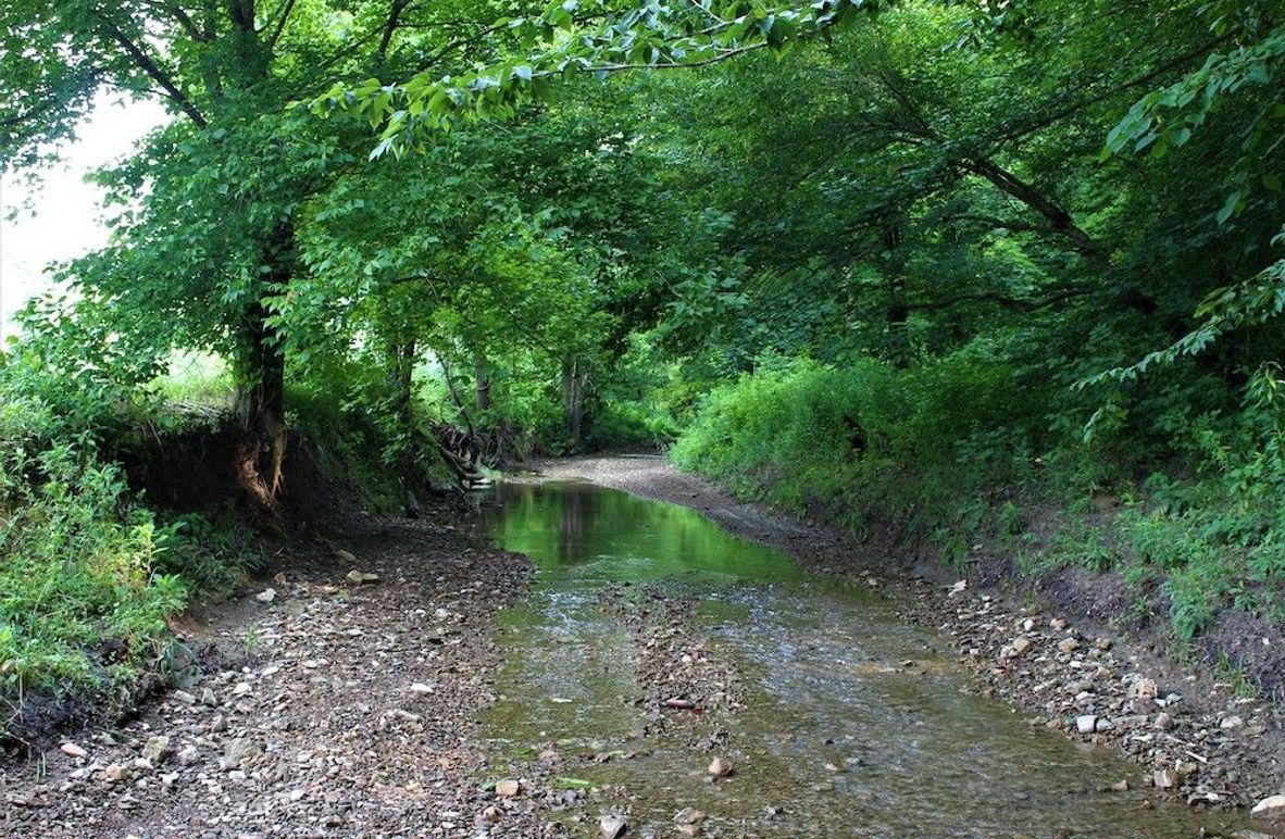 002 Long Branch creek flowing through the property near the entrance