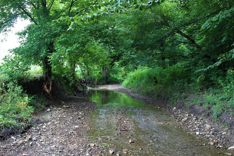 002 Long Branch creek flowing through the property near the entrance