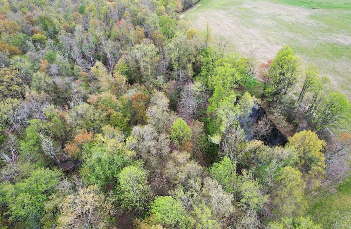 35ac_Teats Branch Rd_Queen Annes_PIC 03