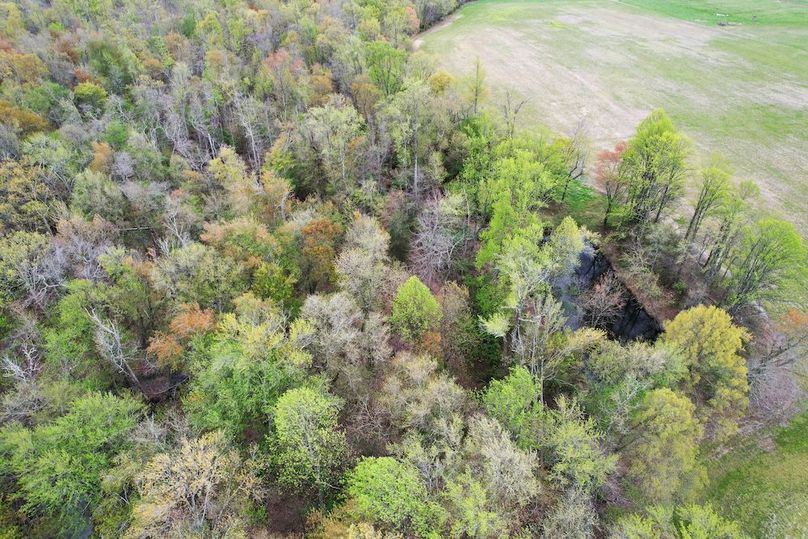 35ac_Teats Branch Rd_Queen Annes_PIC 03