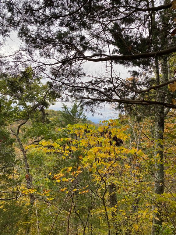 007 view from atop a rock cliff in the northeast area of the property fall of 2022