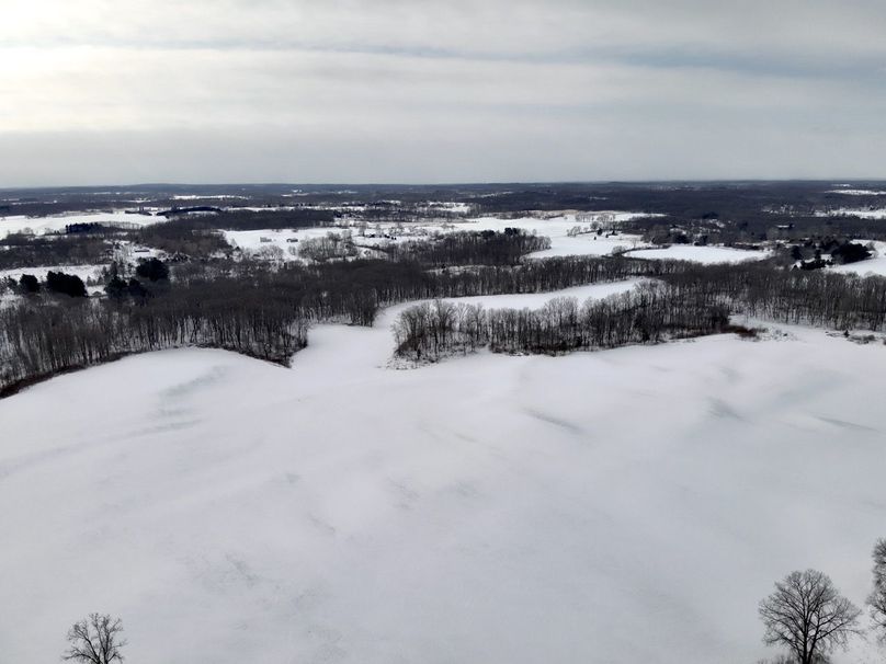 Copy of Tract 5 looking south from M-50  Large