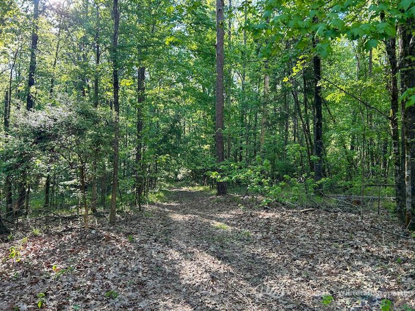 Hinds Co - 51 - Hughes-94