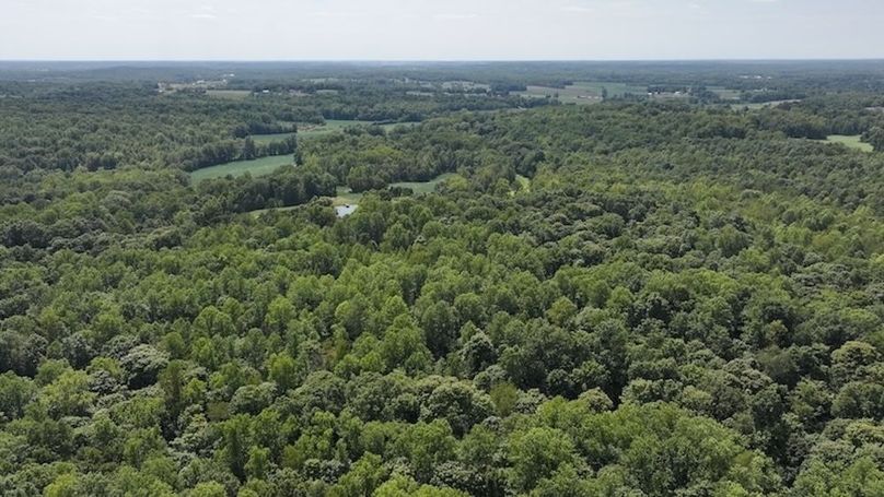 dji_fly_20240904_132806_0371_1725471195544_photo