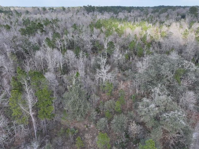 dji_fly_20260212_140202_0047_1771284246217_photo