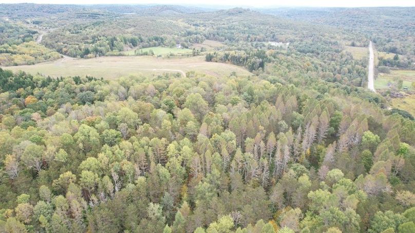 dji_fly_20240926_134558_741_1727372977755_photo