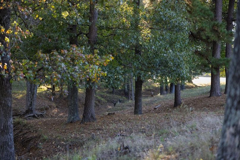 42 harrison 417ac pics-060