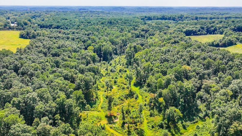 Copy of dji_fly_20250910_133008_0478_1757525868423_photo