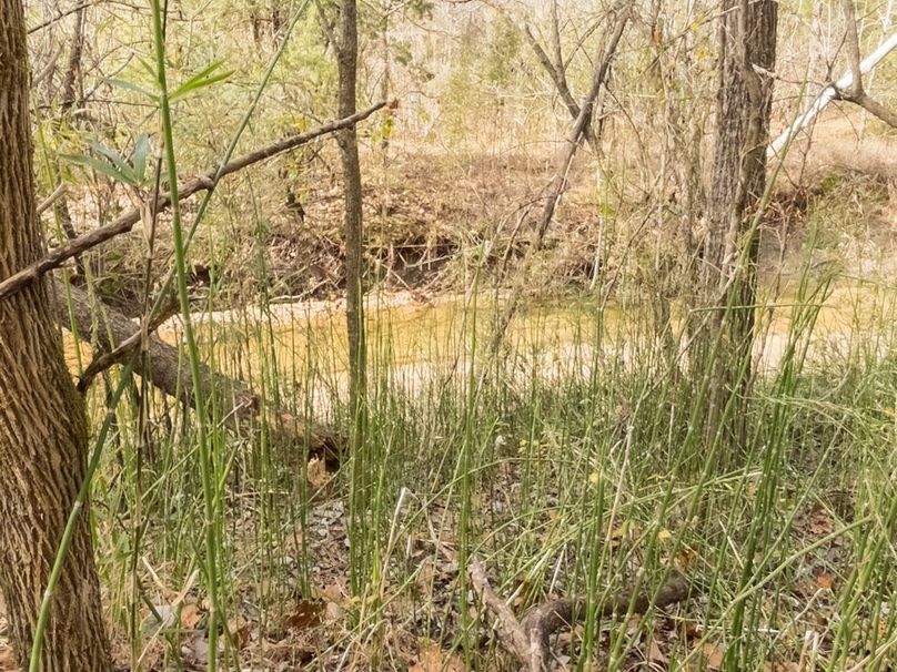 Yazoo Co - 75 - Batton-17