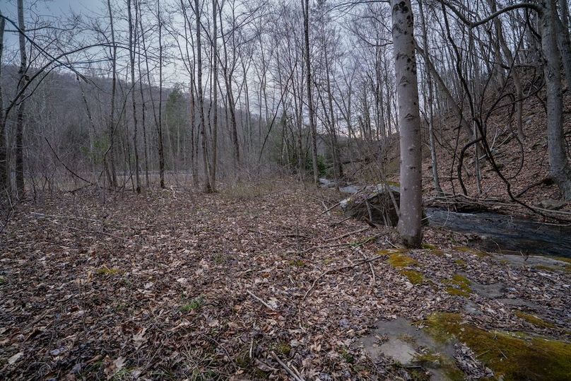 Somerset, 20, Hostetler-48