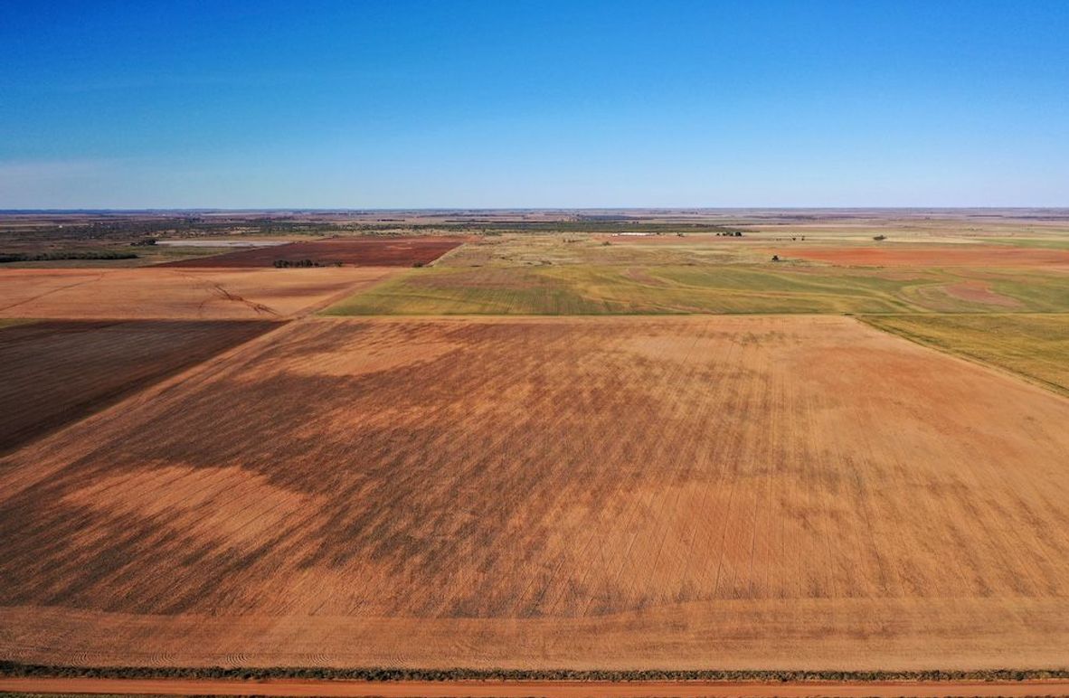 org_3a00f235a7042e58_1762729748000