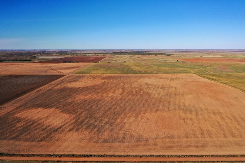 org_3a00f235a7042e58_1762729748000