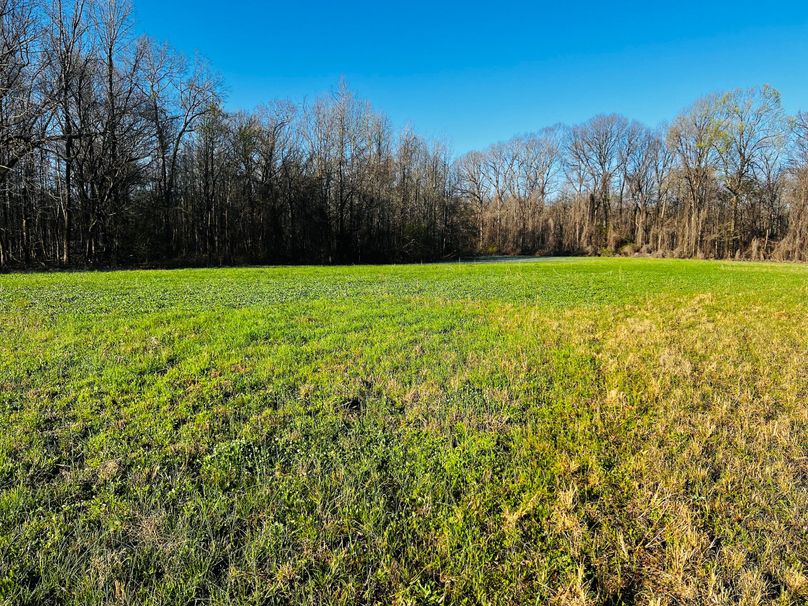 Clover Plot