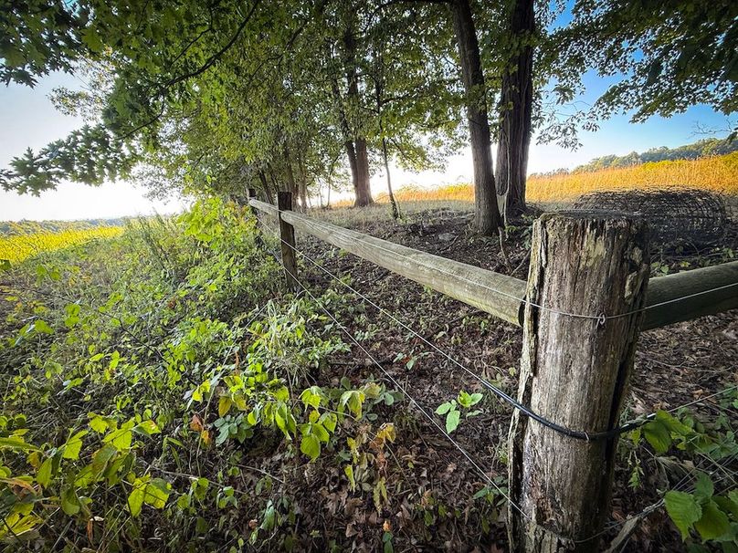 Copy of Wood Tract 2 Photo 7