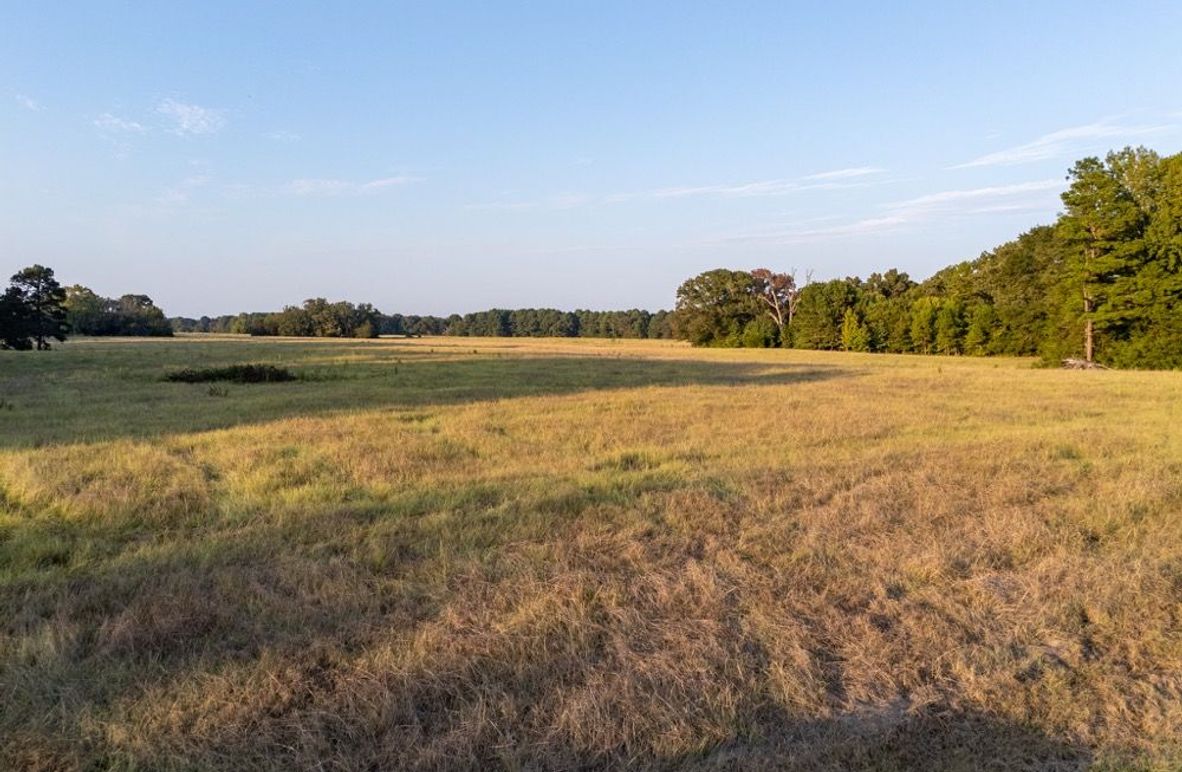 4 Wood co. 45ac - Penix edited-02