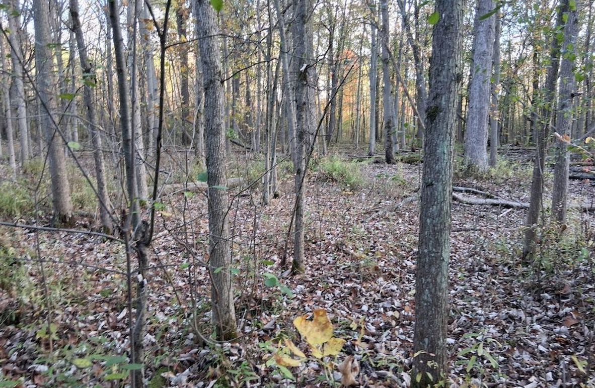 2d 5138733300534699689