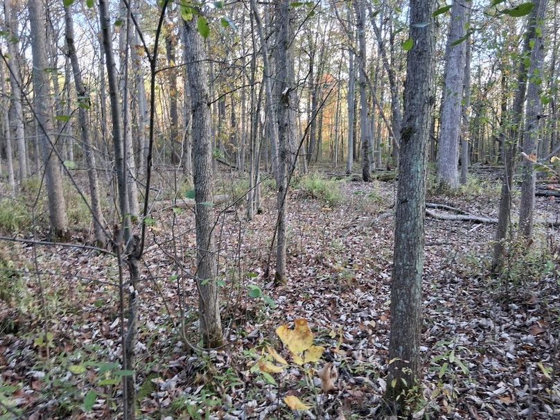 2d 5138733300534699689