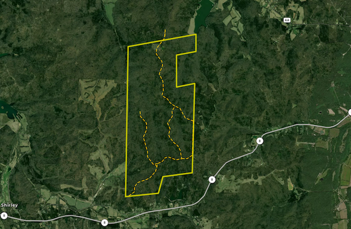 Screenshot 2025-08-13 at 10.57.12 AM