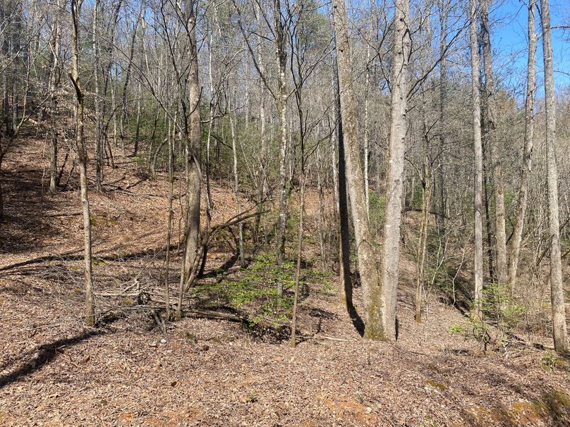 Cherokee 69.74 Stiles-14