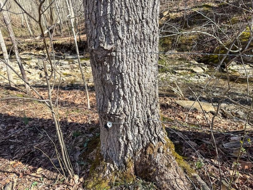 Fleming Petry 115-36