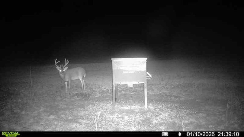 016579009024105-99-4-01102026214400-HD-SYFW02163