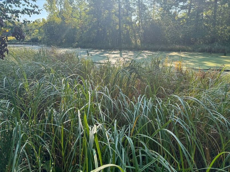 Pantzke Ground Photos-27