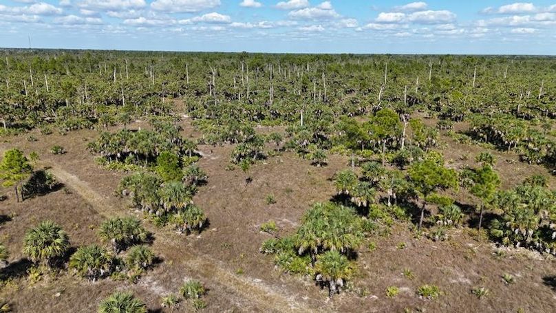 DJI_20251119125051_0994_D