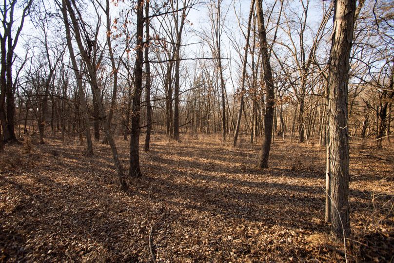 WORTH CO MO 537.44_89