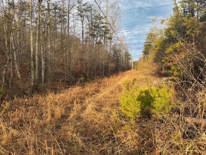 010 gorgeous view looking down the powerlines-2
