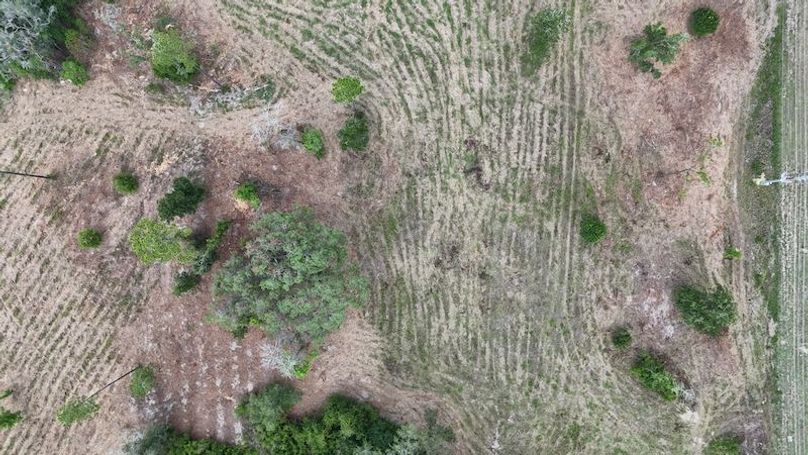 dji_fly_20250625_143908_0512_1750877772099_photo