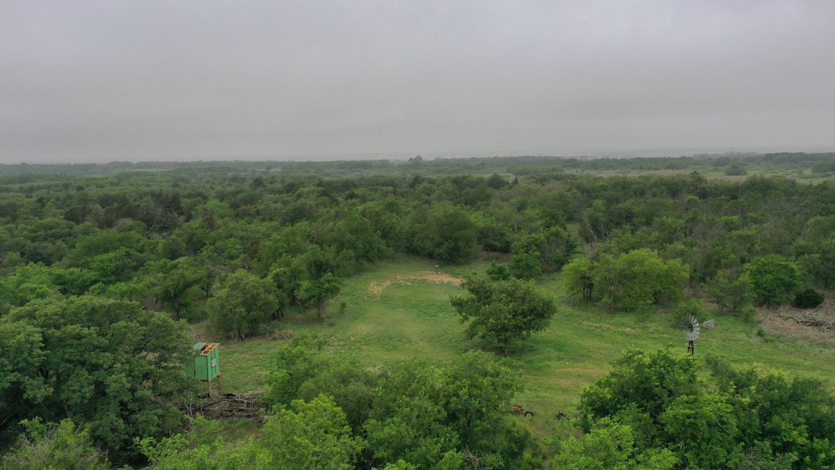 Wooly Hunting Tract In Northwest Oklahoma Whitetail Properties