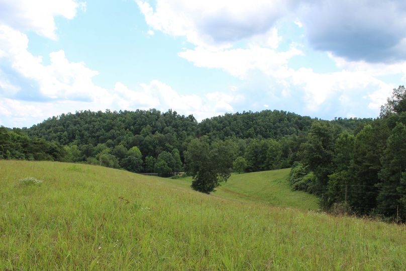 052 open meadows in the western portion of the property