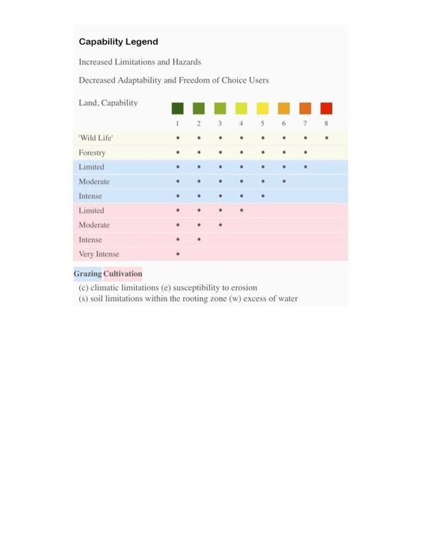Unsaved Preview Document 9 (dragged) 2 copy