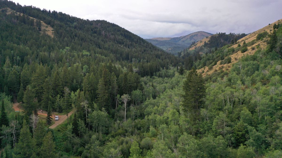 Secluded Mountain Property Bordering National Forest With YearRound