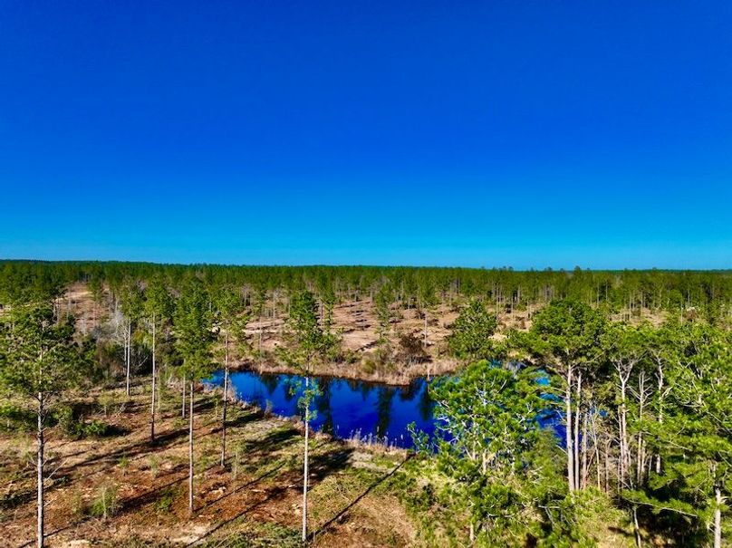 60BB734F-C413-4F88-9715-42B0E87B9530_1_201_a