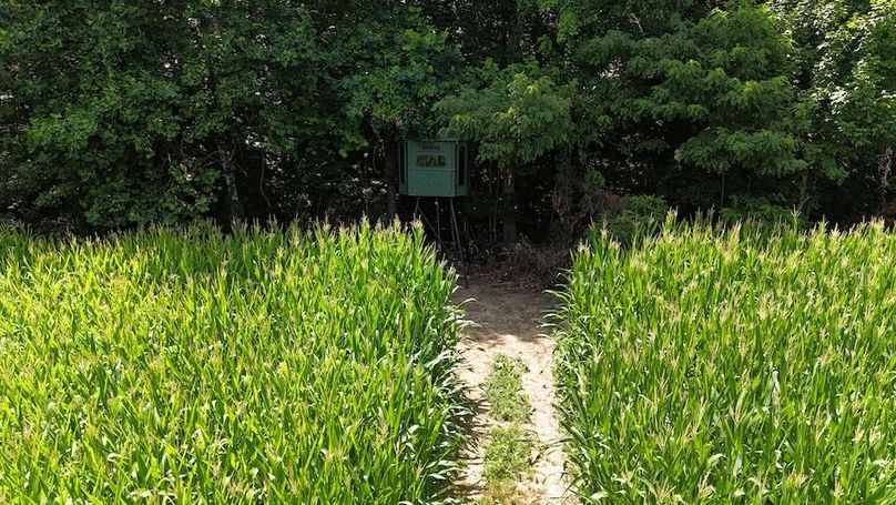 DJI_20250713151900_0558_D