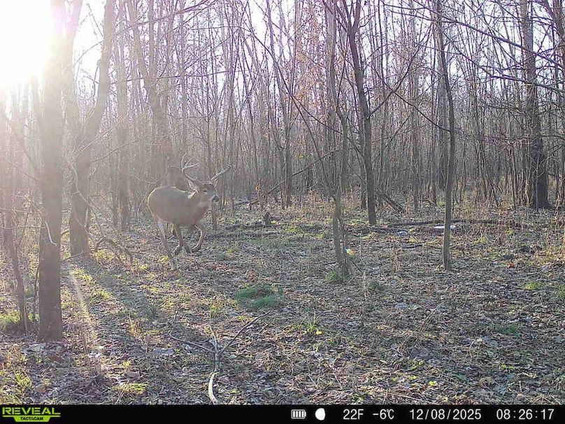 860516067589287-100-3-12082025082836-HD-SYFW0157