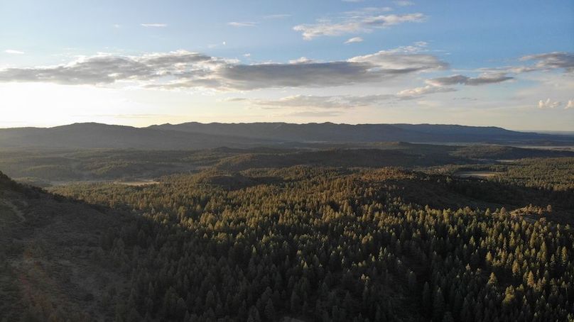 Copy of DJI_0383 (1)